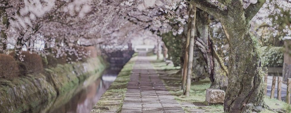 ザ・パークハウス 京都聖護院