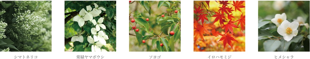 エクセレントシティ幕張 THE GRAN