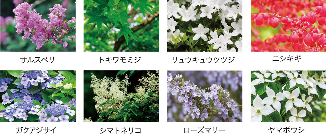 レーベン大分桜坂 GARDEN FORT