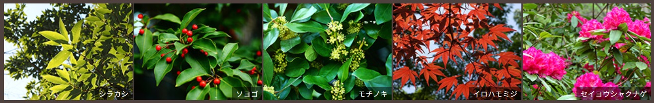 プラウド川崎アベニュー