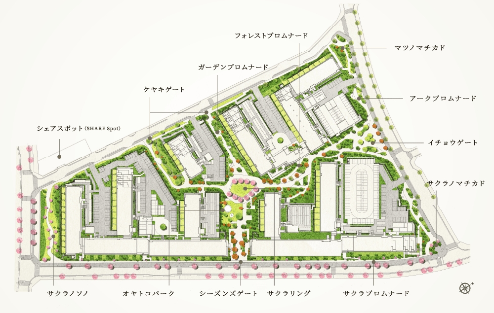 多摩川シーズンズ