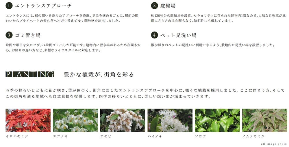 ウィルローズ光が丘