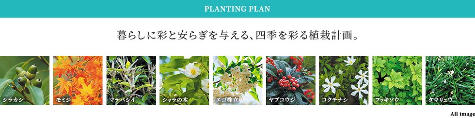 リコット新上挙母