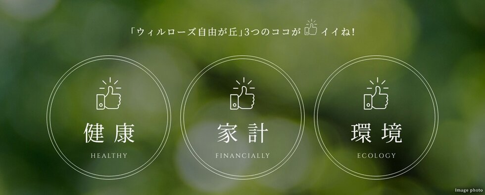 ウィルローズ光が丘