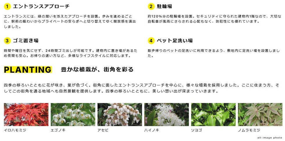 ウィルローズ光が丘
