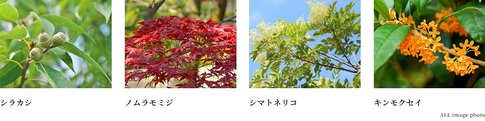 ソルティア川越