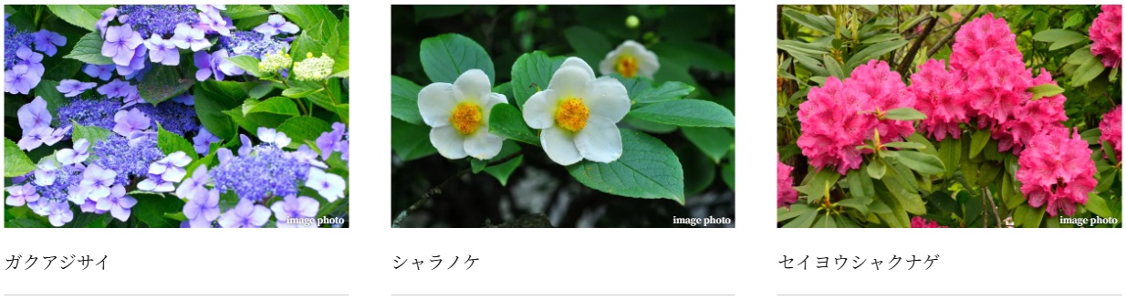 プラウド光が丘アベニュー