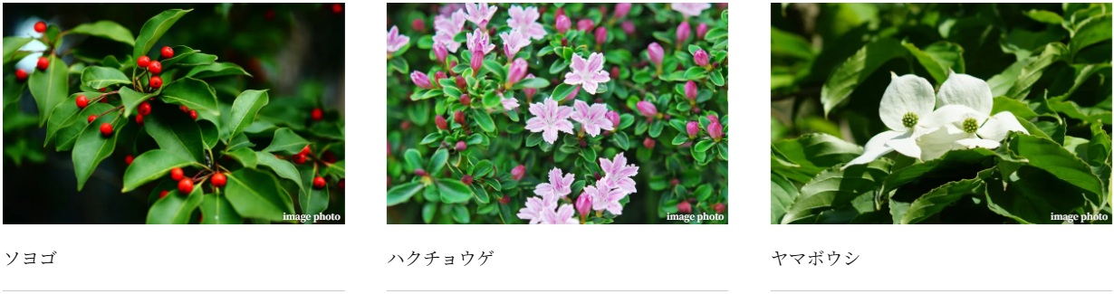 プラウド光が丘アベニュー