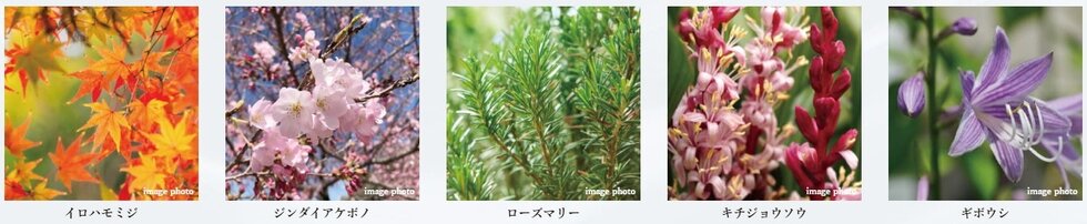 クレアネクスト下荒田 プラージュ