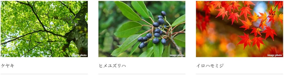 プラウド光が丘アベニュー