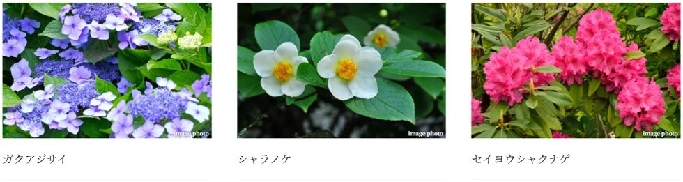 プラウド光が丘アベニュー