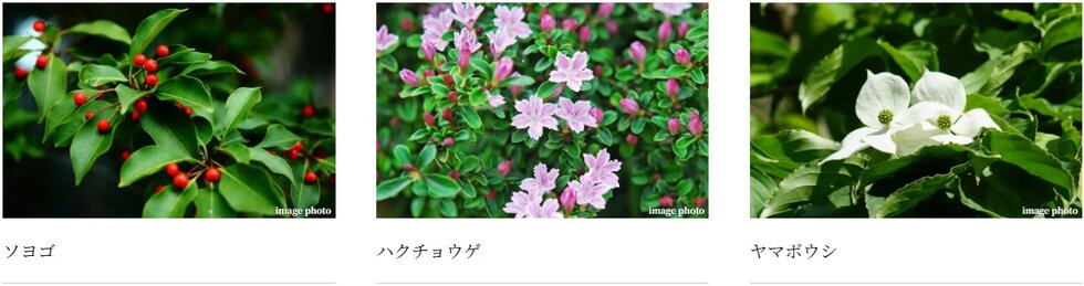 プラウド光が丘アベニュー