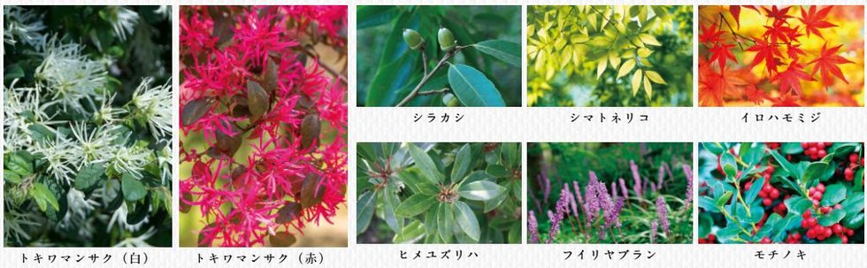 グランシエロ吉祥寺