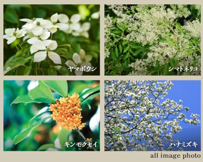 グランドパレス飯塚