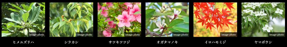 ブランズ西小山
