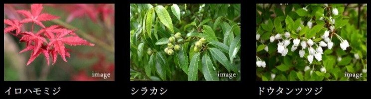 グラディス鷹匠タワー