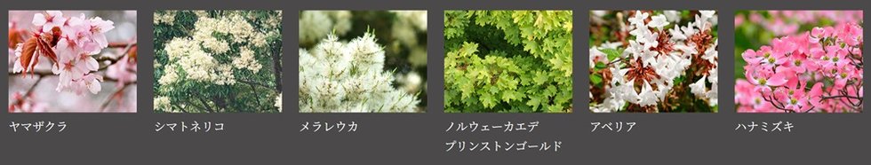 ヴェレーナ日吉