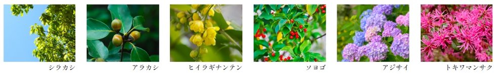 クレアホームズ川口 市役所前通り