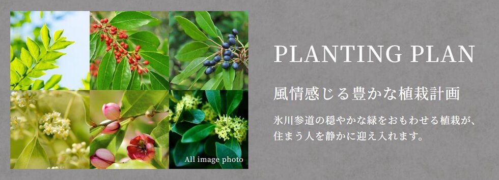 シティハウス大宮氷川