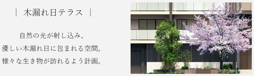 リビオ高田馬場
