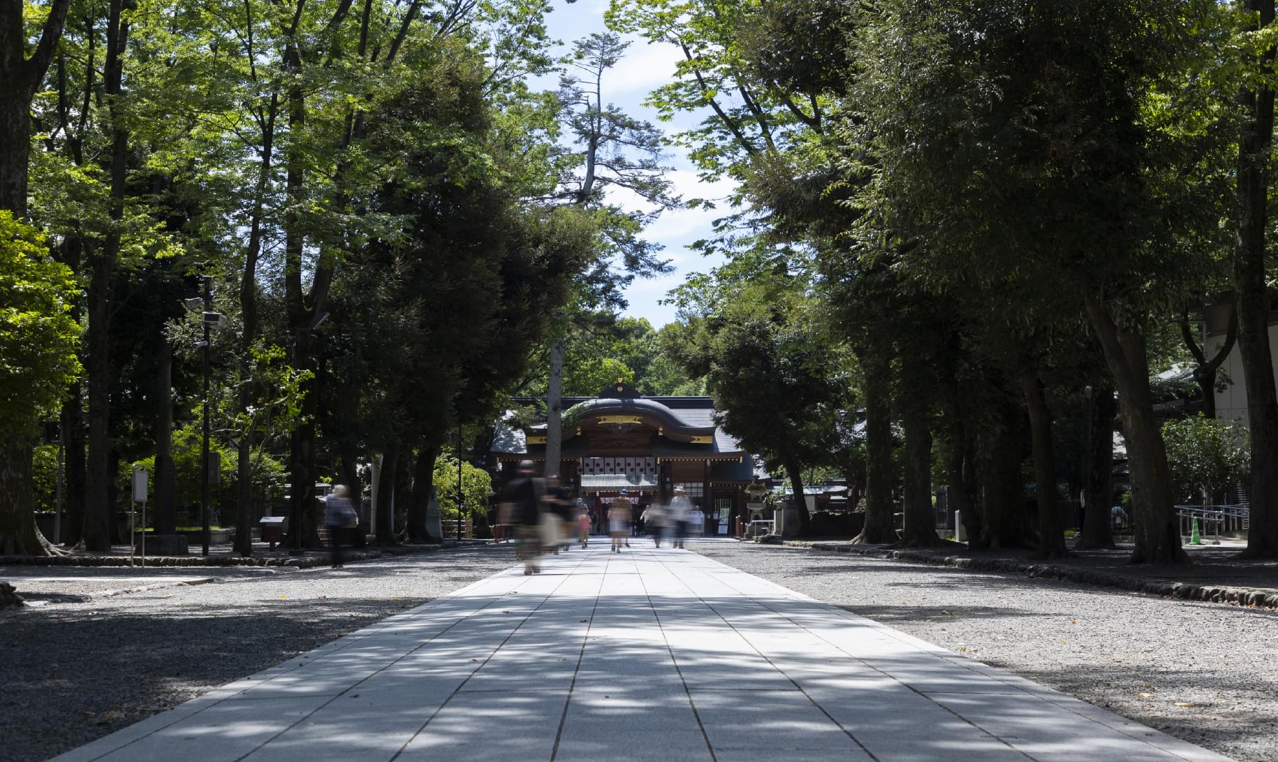 ザ・ライオンズ府中