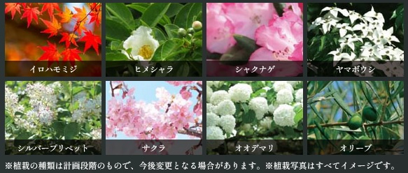 ヴェレーナグラン府中美好