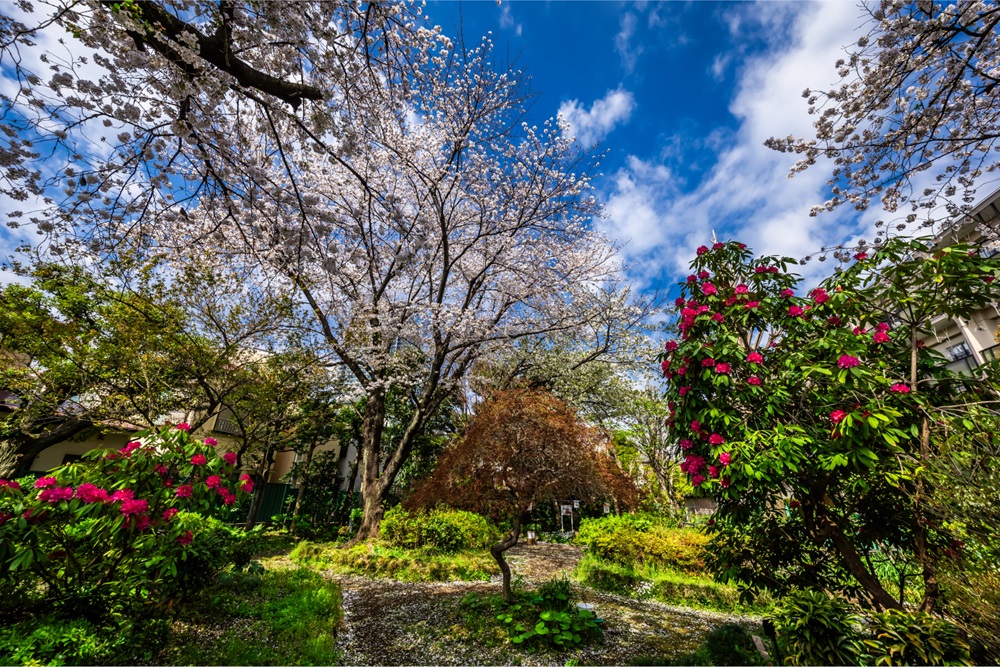 グローベル十条 ザ・レジデンス