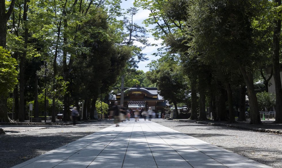 ザ・ライオンズ府中