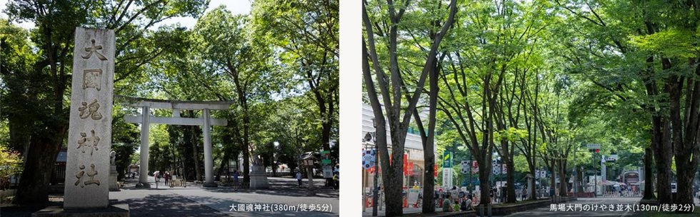 ザ・ライオンズ府中
