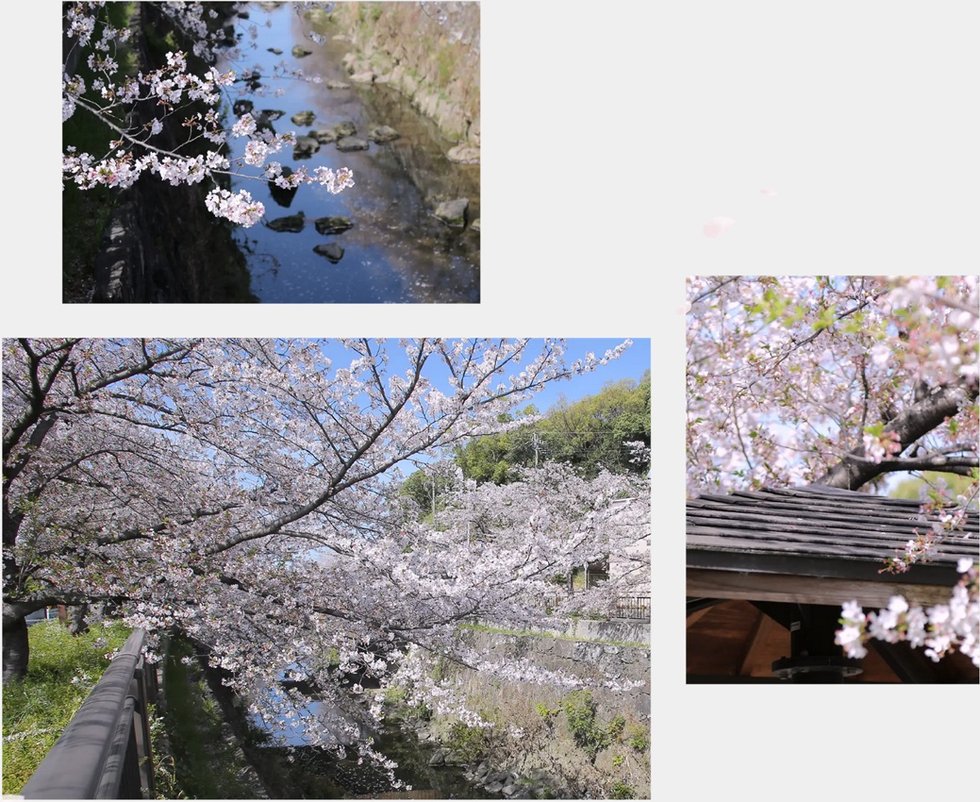 ジオ桜山グラン