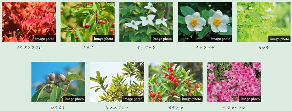 ブランズ巣鴨三丁目