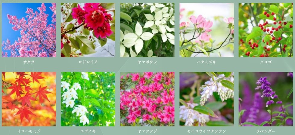 ヴェレーナ西新井ザ・ハウス