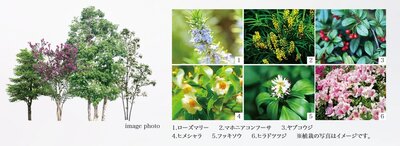 レ・ジェイド西宮ミッドプレイス