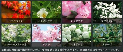 ヴェレーナグラン府中美好