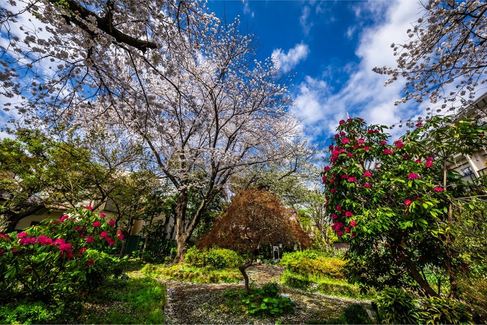 グローベル十条 ザ・レジデンス