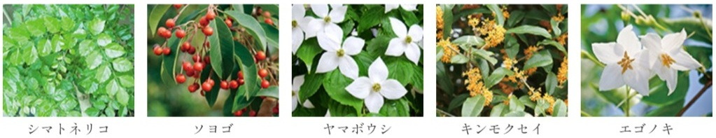 ポレスター三山木駅前