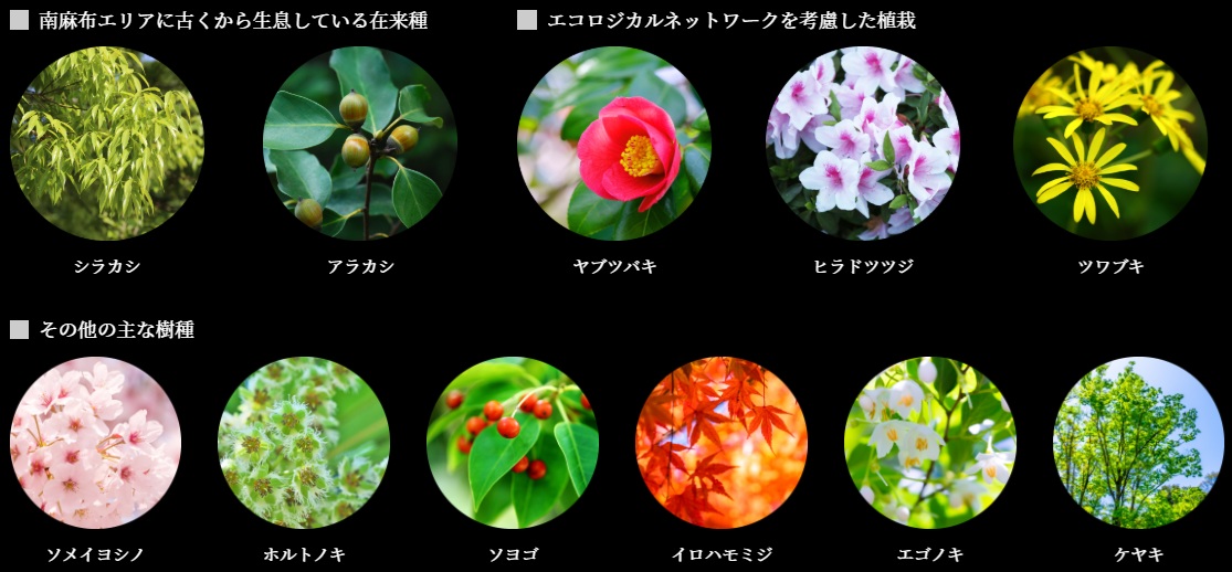 シエリアタワー南麻布