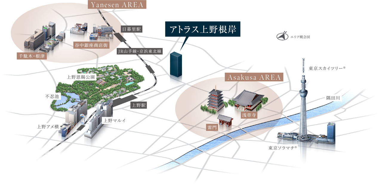 アトラス上野根岸