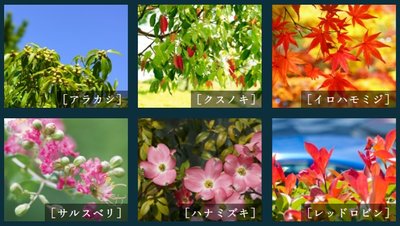 ルネ成田サングランデ