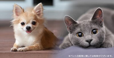 ファーネスト博多南駅グレイス