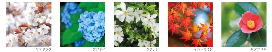 グランドメゾン玉造レジデンス