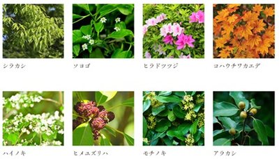 ビアレ北浦和