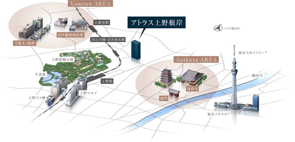 アトラス上野根岸