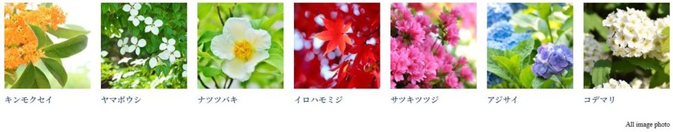 ブランズ大宮日進ビアレ