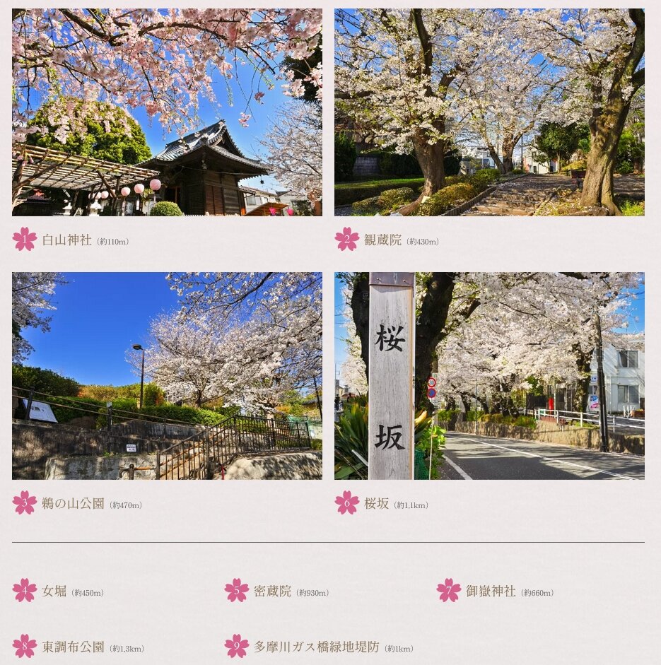 ヴェレーナ久が原