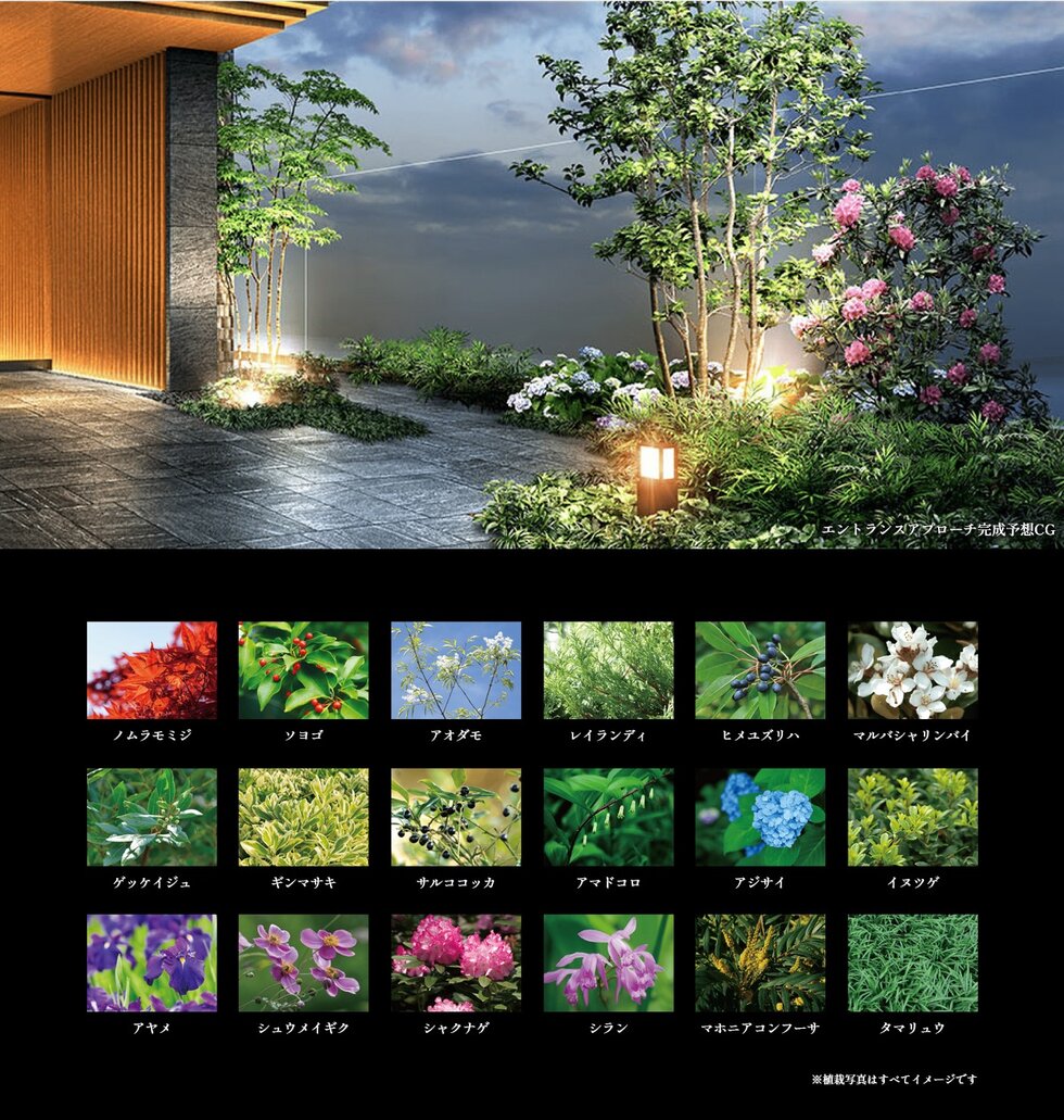 レ・ジェイド橦木町