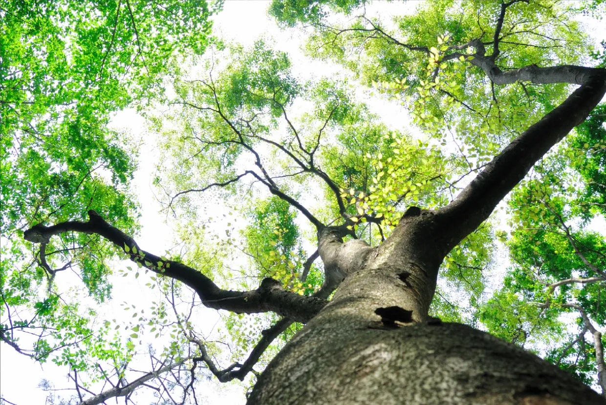 プラウド美しが丘ヒルサイド