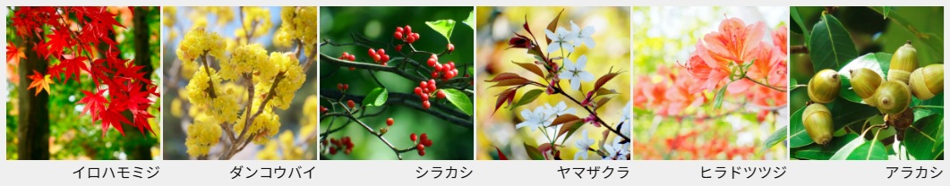 プラウド美しが丘ヒルサイド