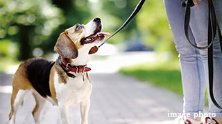 プレイズ名古屋