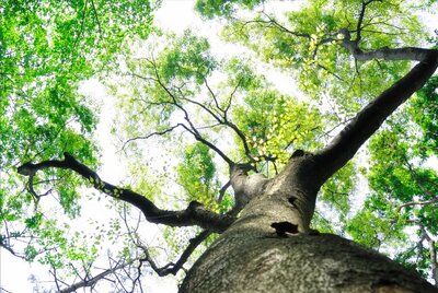 プラウド美しが丘ヒルサイド